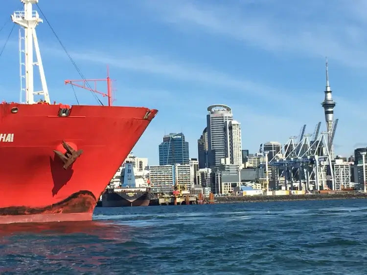Auckland water taxi harbour views
