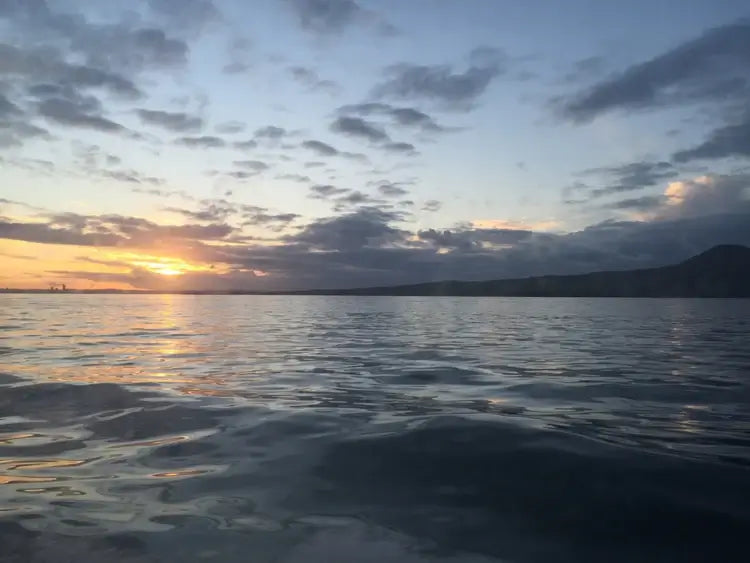 Water taxi vs ferry to Waiheke Island