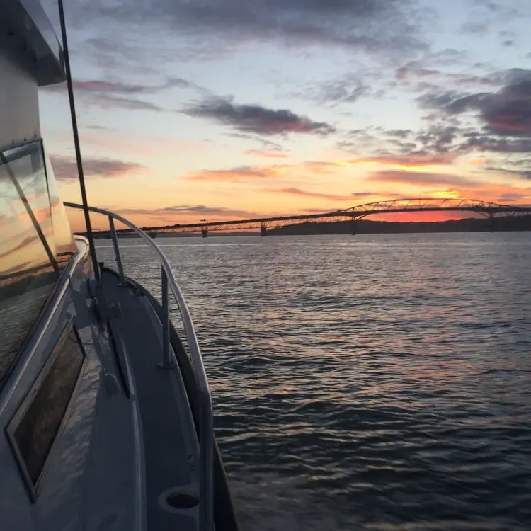 Hauraki Gulf island day trips Auckland
